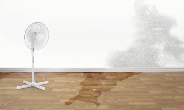 Best Flood damage cleanup  in North Platte, NE