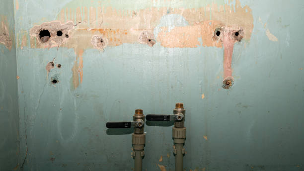 Reliable NE Water damage restoration Solutions