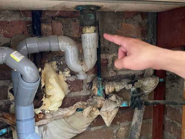 Best 24/7 water damage repair  in North Platte, NE